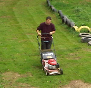 Grass Cutting